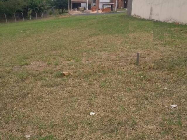 #1846 - Terreno para Venda em Sumaré - SP - 1