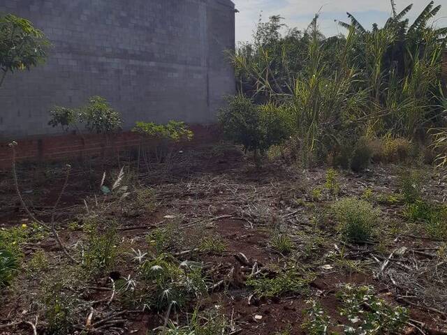 #1946 - Área para Venda em Sumaré - SP - 1