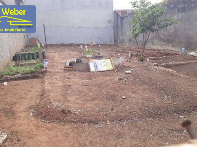 #2005 - Terreno para Venda em Sumaré - SP - 1