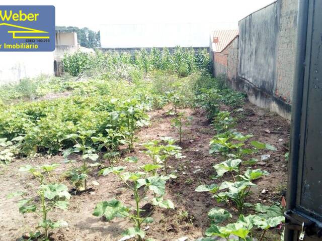 #2051 - Terreno para Venda em Sumaré - SP