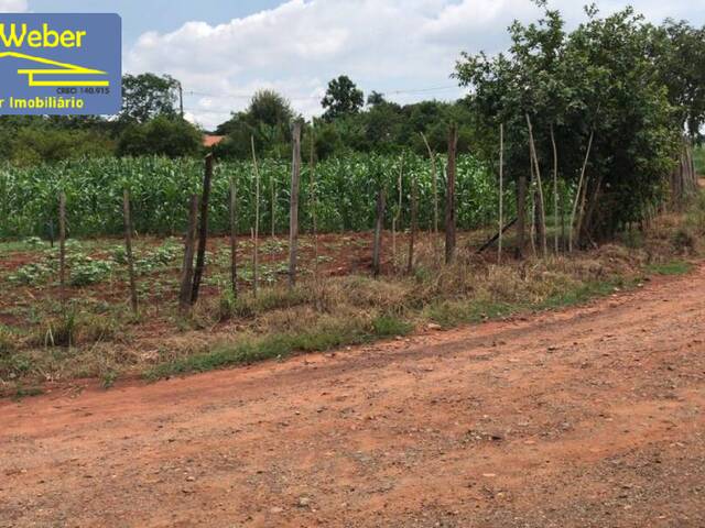 #2080 - Terreno para Venda em Sumaré - SP - 2