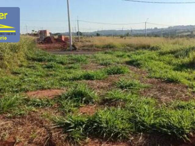 #2598 - Terreno para Venda em Hortolândia - SP - 2