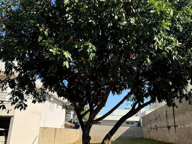 #2679 - Área para Venda em Paulínia - SP - 3